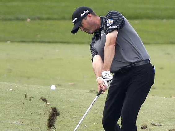 Golf WEB