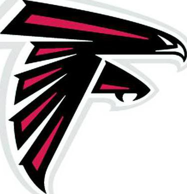 falcon LOGOS WEB